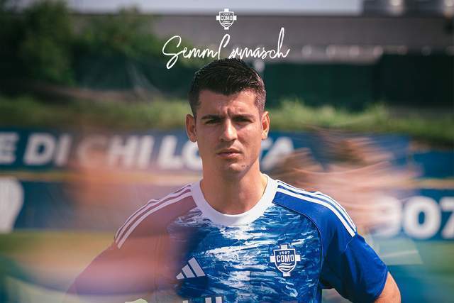 在世界羽毛 在世界羽毛